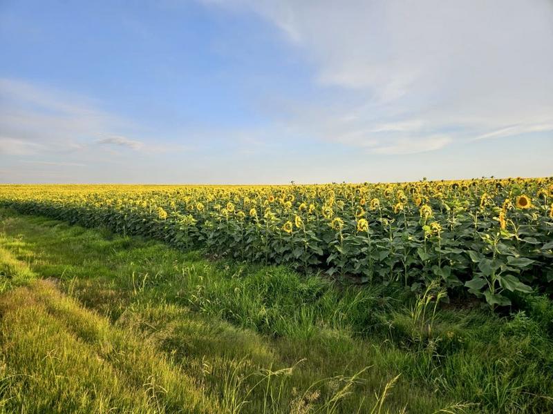 0 Bedroom Property for Sale in Bethlehem Rural Free State